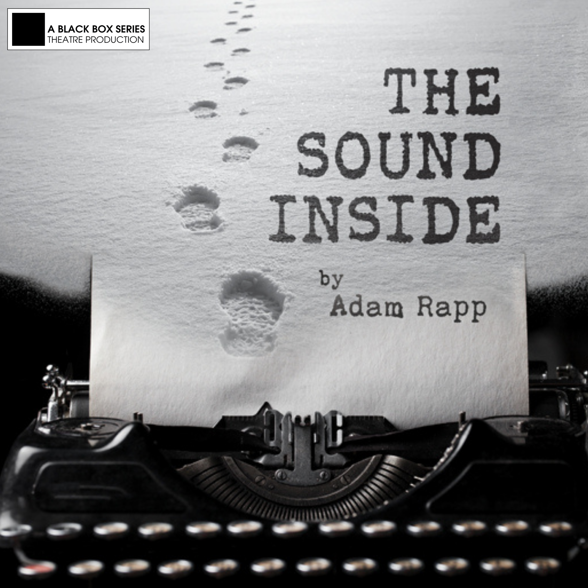 THE SOUND INSIDE