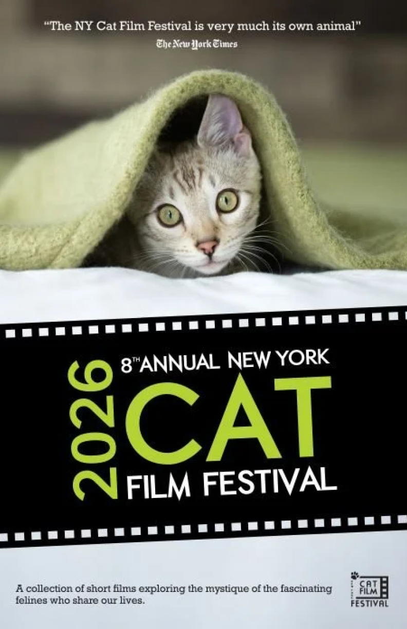 8th Annual NY Cat Film Festival